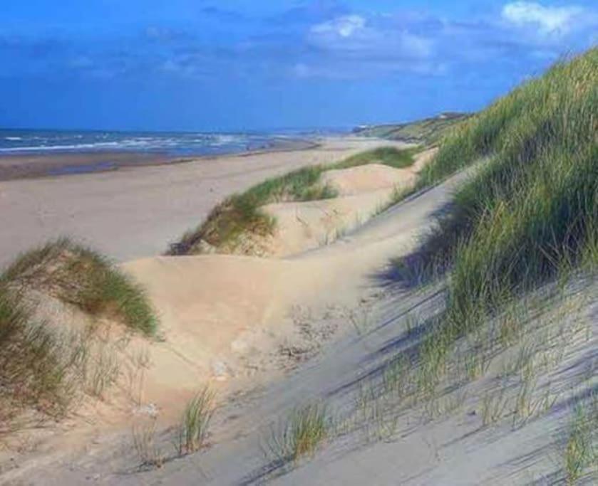 Jolie Maison Sur Golf, Proche Plage, Fort-Mahon מראה חיצוני תמונה